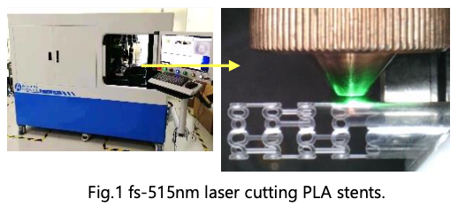 fs-515nm laser cutting PLA stents