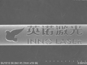 Femtosecond laser stent cutting of 316L